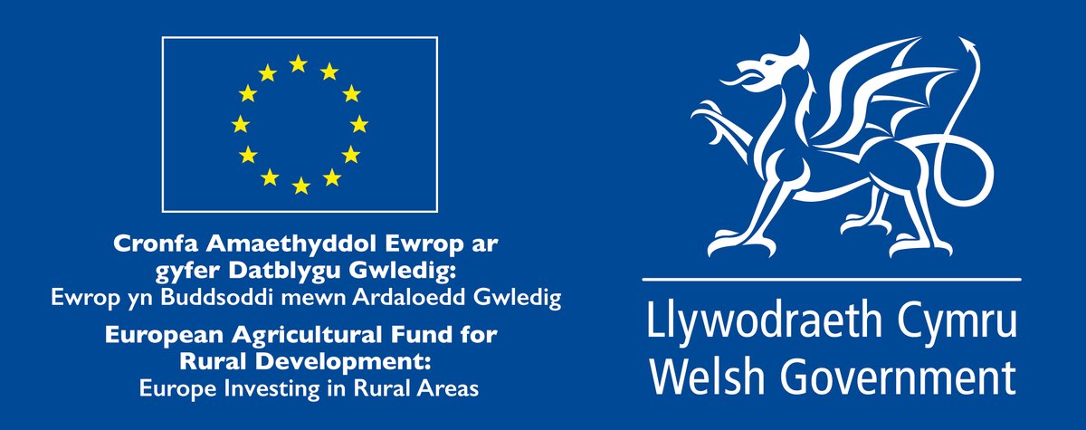 AmgueddfaCymru's tweet photo. Gyda chefnogaeth ariannol yr Undeb Ewropeaidd, mae modd i’n teulu o amgueddfeydd rannu ein straeon hyfryd am Gymru gyda chi ✨
@wefocymru
#CronfaUE #CanfodCymru https://t.co/6H4RJajdEK