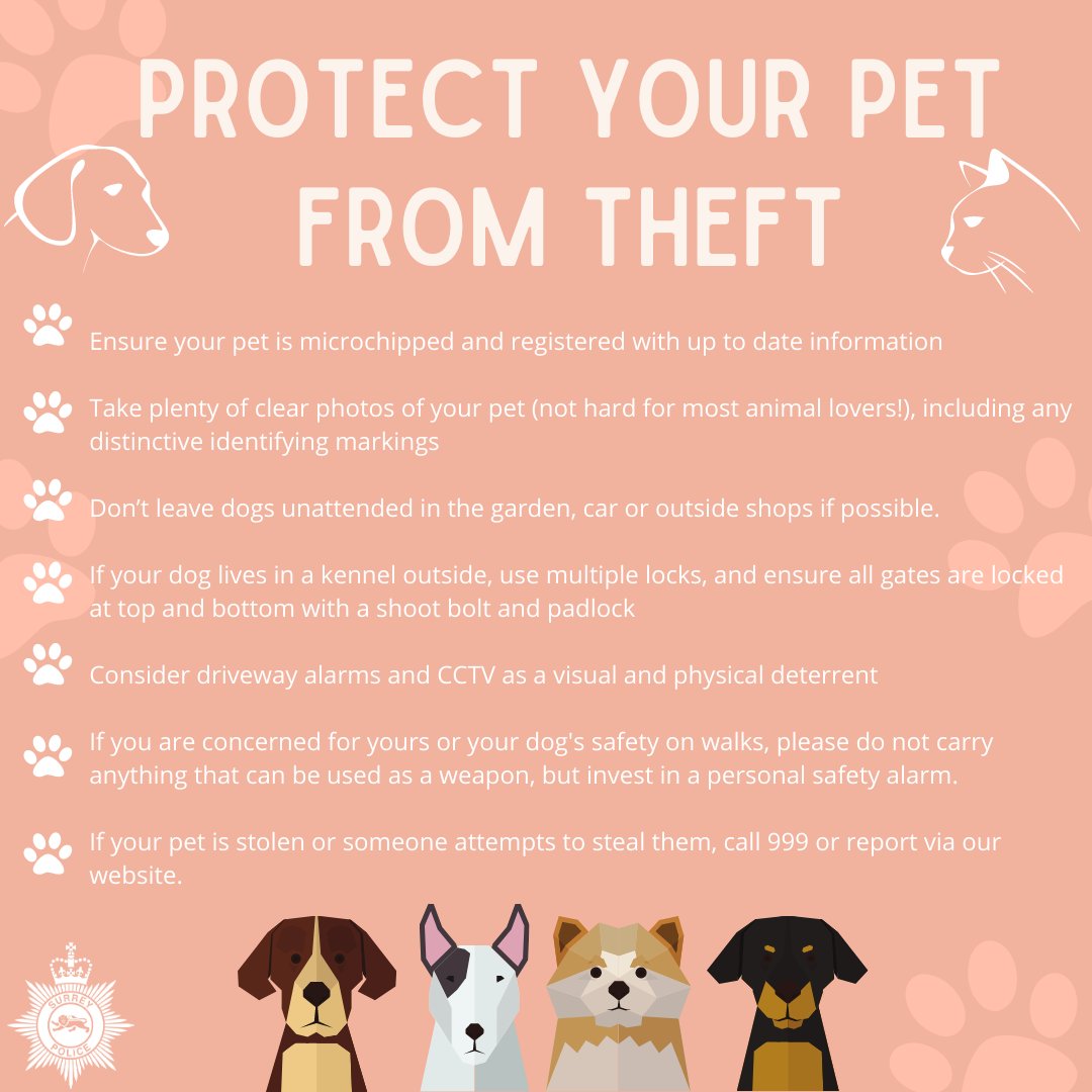 🐾 We’re aware there's still a lot of concern around the number of dog thefts nationally and in Surrey. Our numbers are low, but here are some of our key tips for protecting yourself and your dog from theft 🐶

Read the full list on our Facebook page: facebook.com/SurreyPolice/