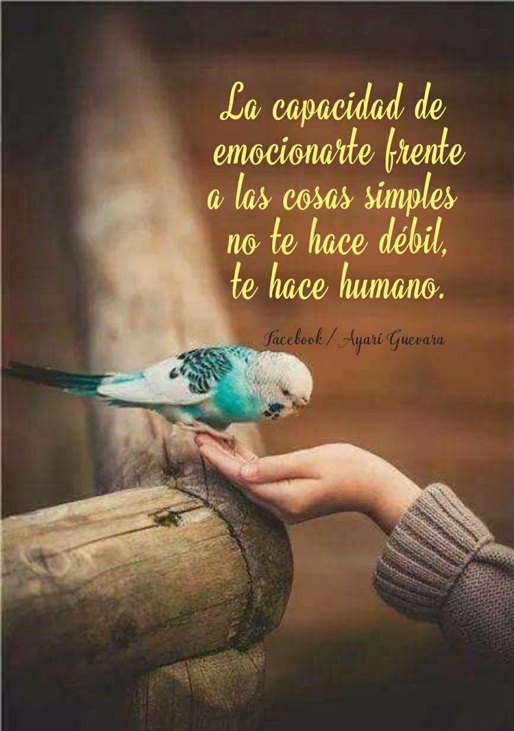 xiomarazv5's tweet image. 