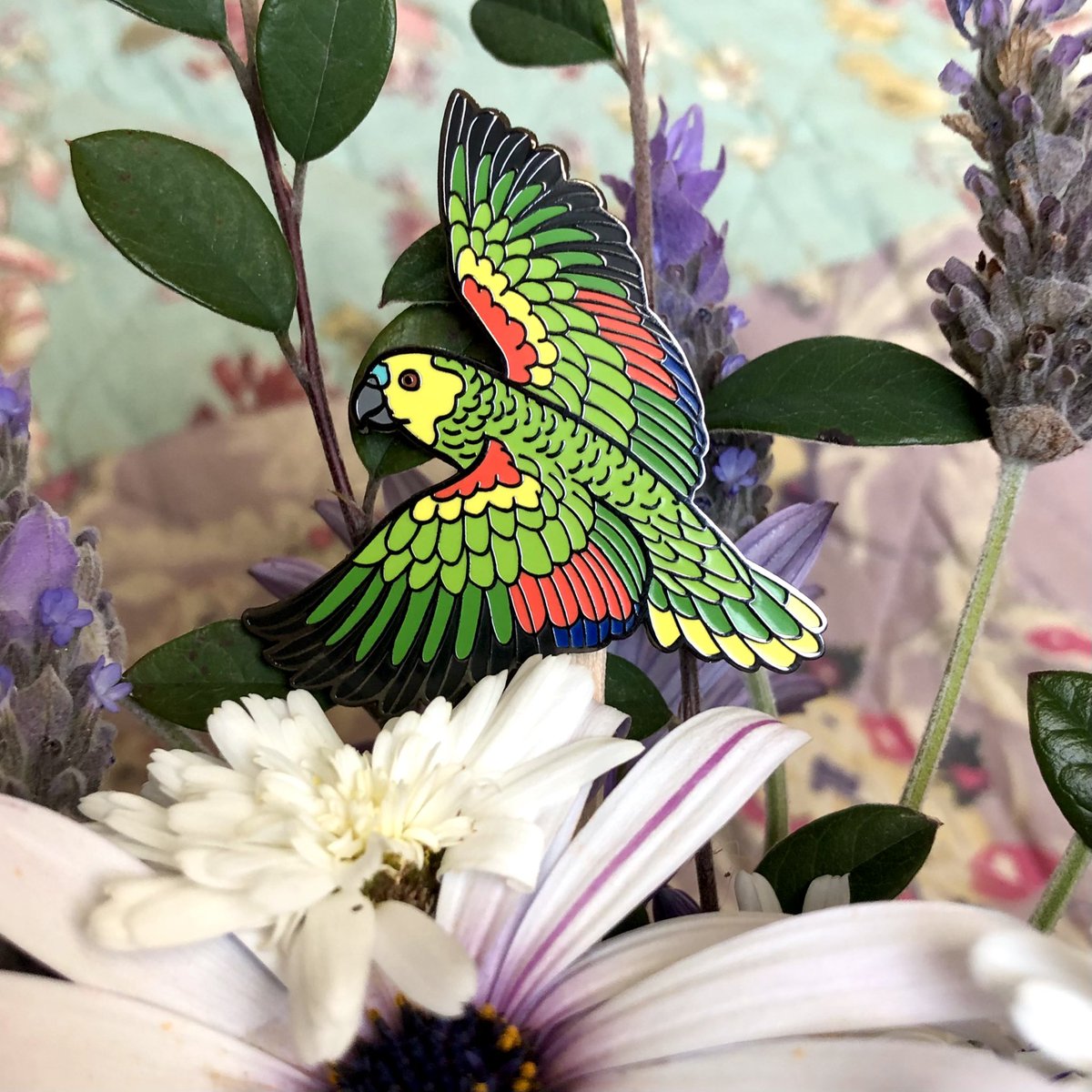 Blue-fronted Amazons have such beautifully striking colours don’t you think? 💚💛💙 . available at hyperfinch.com . 15% from every pin sold goes to @RoniesOf parrot rescue through our collaboration with @birdtricks to help care for rescue birds in need.