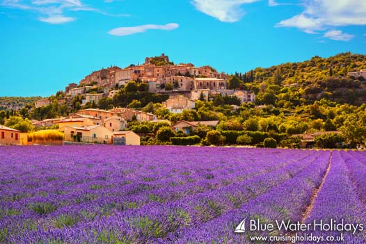 bluewaterhols's tweet photo. Discover the stunning #lavender fields of #Provence on an unforgettable #cruise along the River #Rhone ❤️

👉 https://t.co/c3WlnNrVjd 👈

#TravelTuesday #inspiration #holiday #Summer2021 https://t.co/lA73bwA7qv