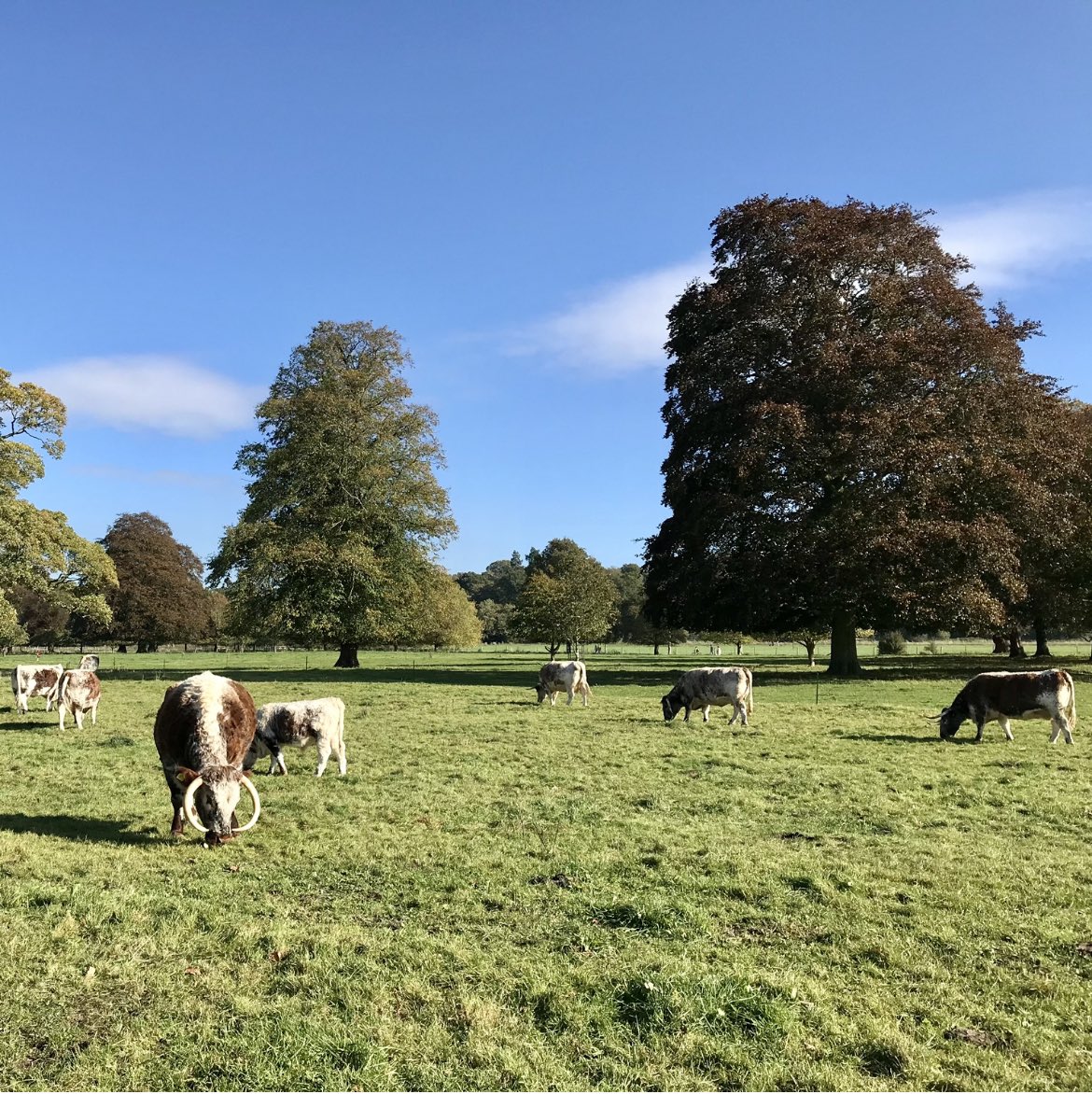 Closing this week. Applications for our last industry funded #masters (MRes) #studentship with <a href="/AgriEvidence/">CEBA</a> <a href="/HarperAdamsUni/">Harper Adams University</a> eg.  alternative #forage for #climate mitigation &amp; resilience  jobs.harper-adams.ac.uk/vacancy.aspx?r… #agroecology #sustainability #MSc #sustainablefarming