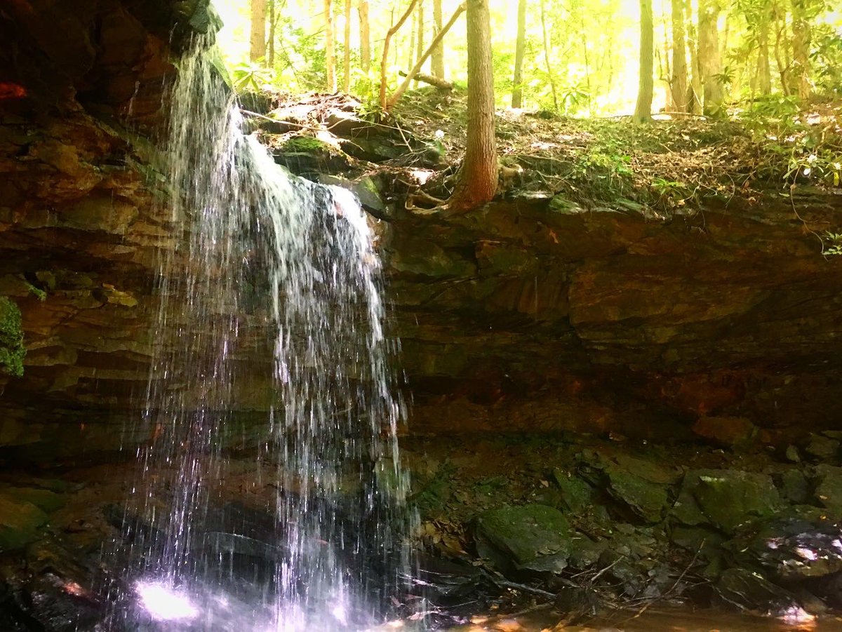 bigturtletrekk1's tweet photo. Cane creek. Whitley county #dbnf https://t.co/8ftIW2eSQt