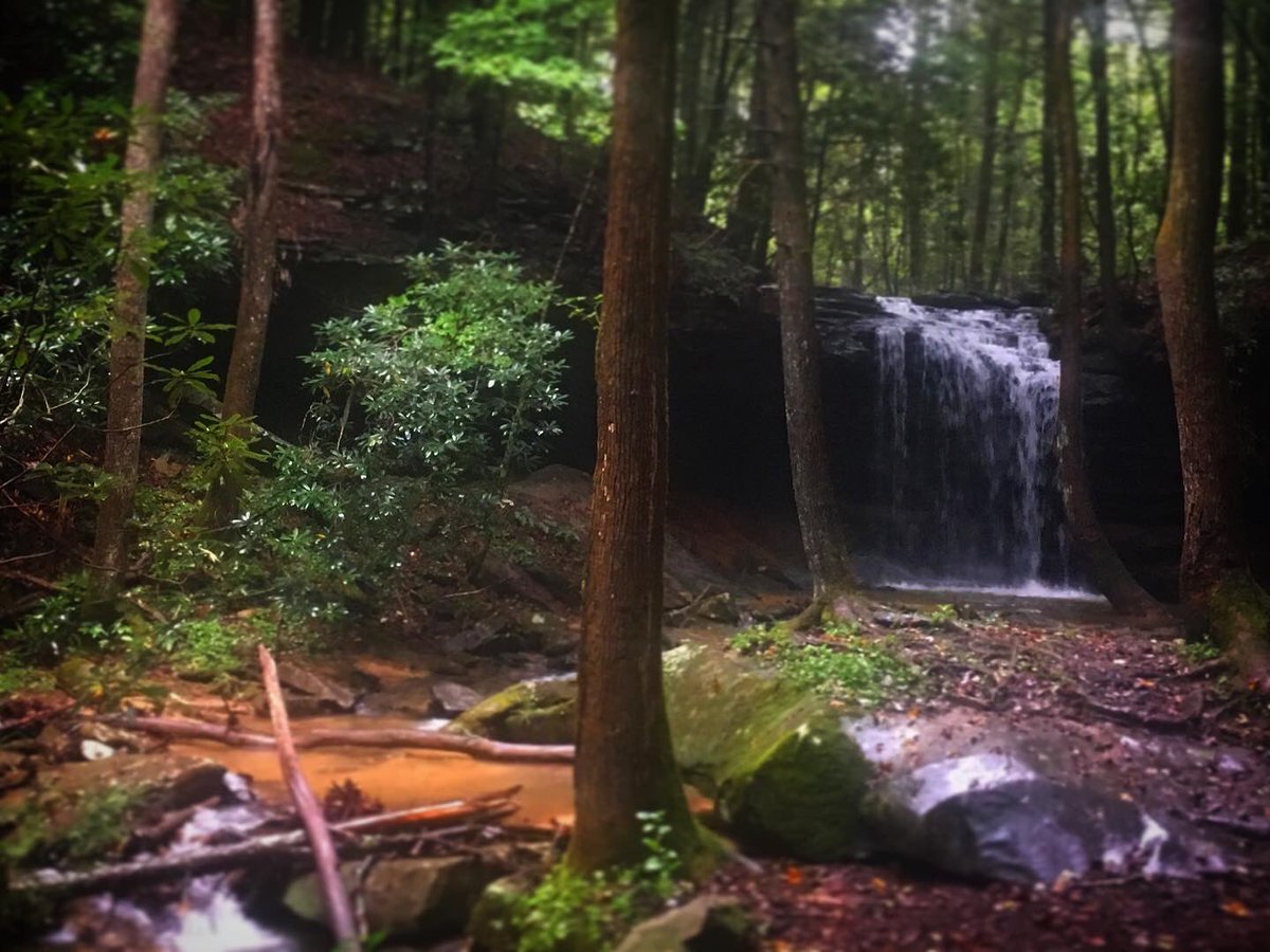 bigturtletrekk1's tweet photo. Cane creek. Whitley county #dbnf https://t.co/8ftIW2eSQt