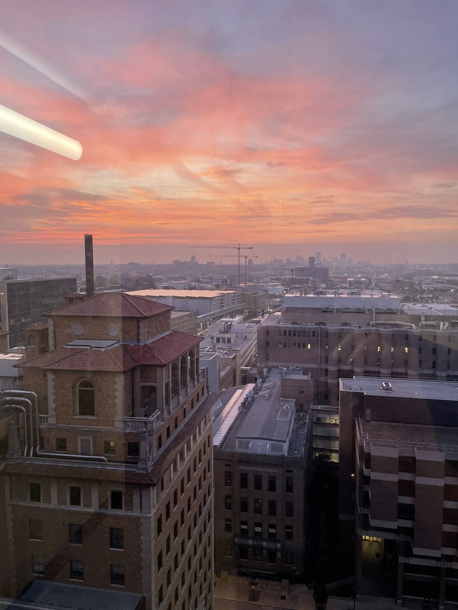 Good morning from the  <a href="/WashUSurgery/">WashU Medicine Department of Surgery</a> Transplant Team