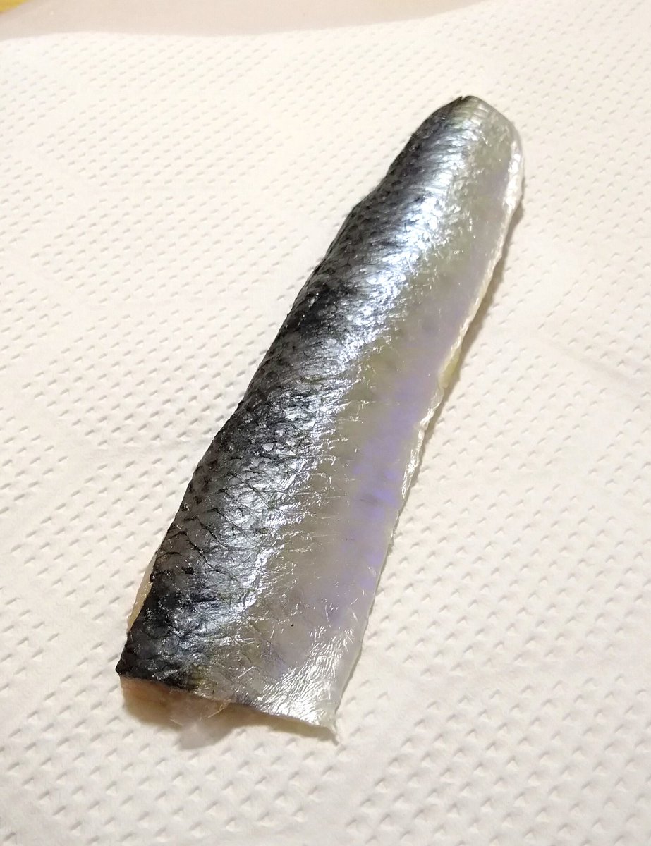 ゆ A Twitter トビウオ食べたことないので食べてみたいですー お寿司で食べれるなんて