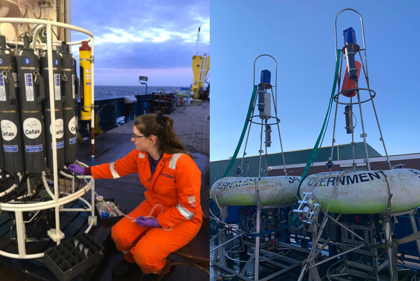 This week on SciEnvy, <a href="/MollieAllerton/">Mollie Allerton 🧜‍♀️</a> introduces her research into the impacts of water quality on phytoplankton communities. Check it out below! #SciComm #PhDlife #AcademicChatter @ARIES_DTP <a href="/NERCscience/">Natural Environment Research Council</a> 

scienvy.co.uk/post/what-s-up…