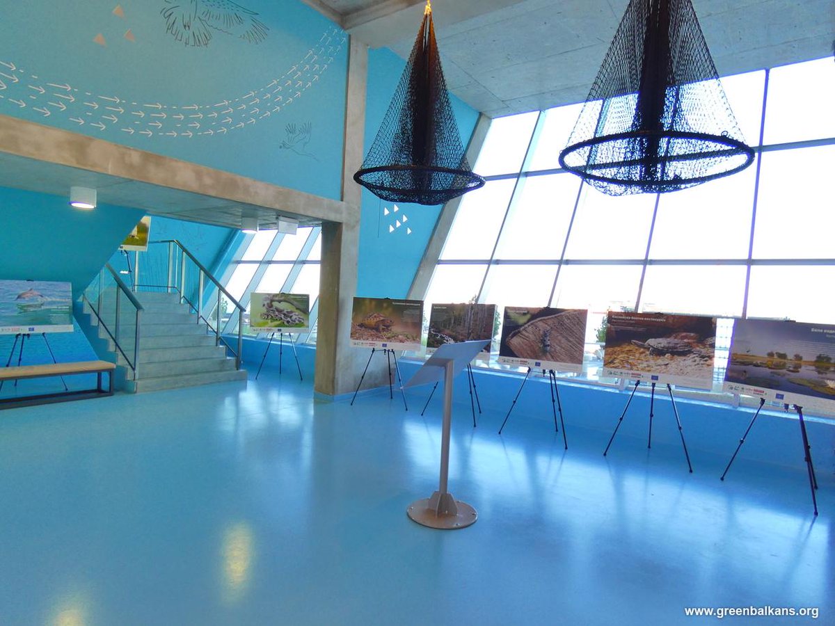 greenbalkans tweet media