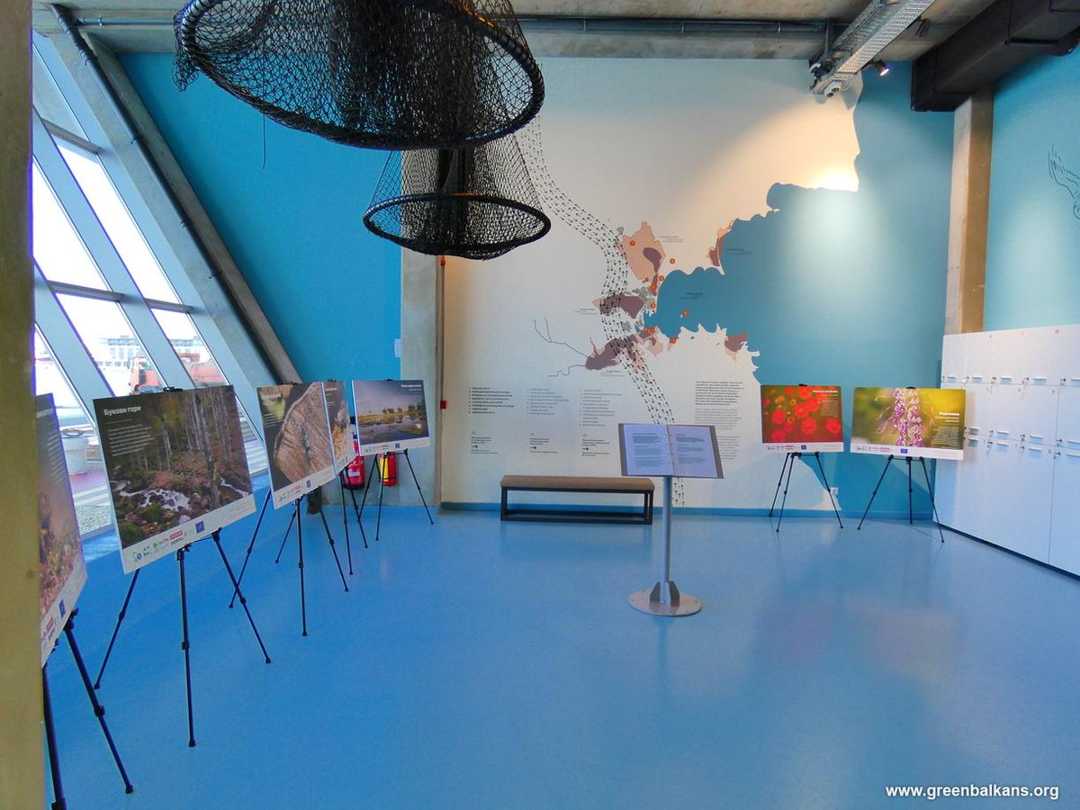 greenbalkans tweet media