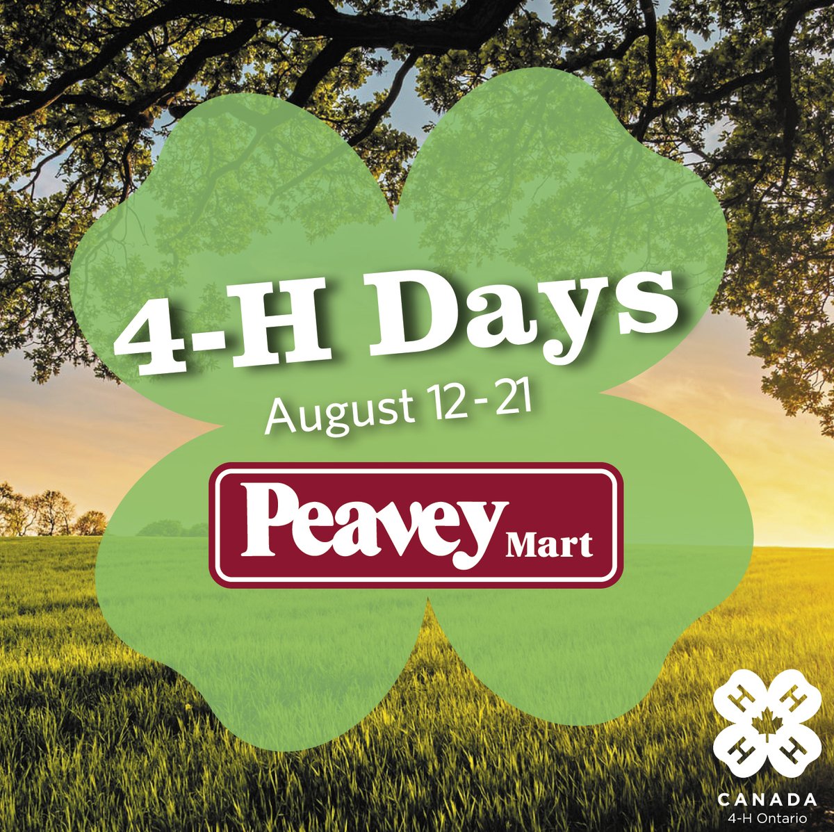 4HOntario's tweet photo. By making a donation 4-H during #4HDays at Peavey Mart Stores, you are supporting thousands of youth across the province continue to #LearnToDoByDoing! 

Visit a Peavey Mart Store location from now until August 21st to make your donation. https://t.co/OwksBV9IhL