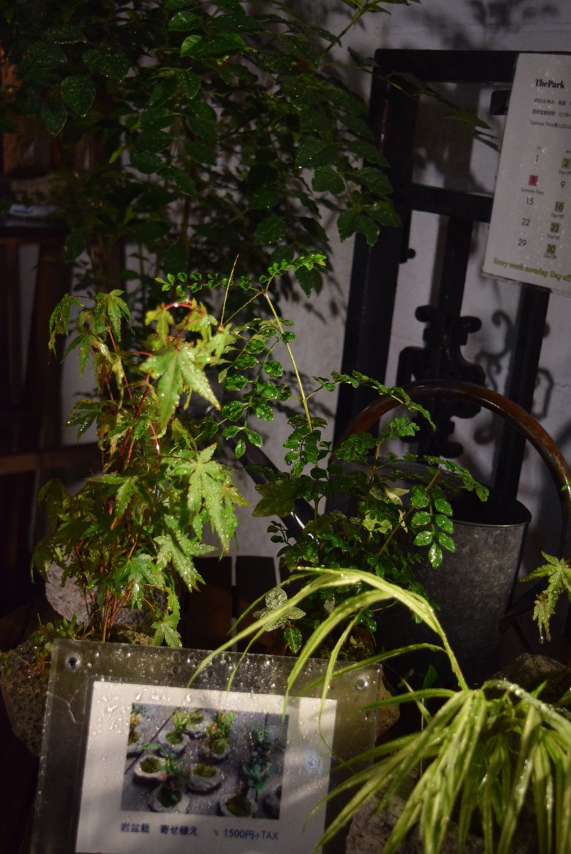 thepark1959's tweet photo. #nishiogikubo
#thepark
#夜景
#雨早く止んで欲しいな
#お疲れ様でした
#また明日頑張りましょう
#originalbrand
#GodeM
#ミリタリー
#ビンテージ
#ワーク
#男前
#経年変化
#大人の為の
#カッコ良い服
#秋物入荷 https://t.co/xEZYC1xKMz