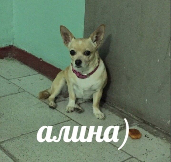 aksnyaa's tweet photo. @amaymibaby https://t.co/z4vzoBYyvw