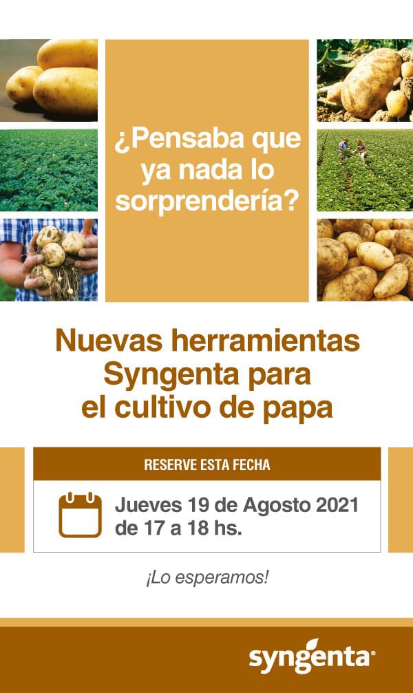 🥔¿Querés conocer nuestras nuevas herramientas para el cultivo de papa?🥔

¡Agendá este jueves 19/8!

Conectate a las 17 hs y enterate de todas las novedades 👉bit.ly/Herram_Papa_Syn