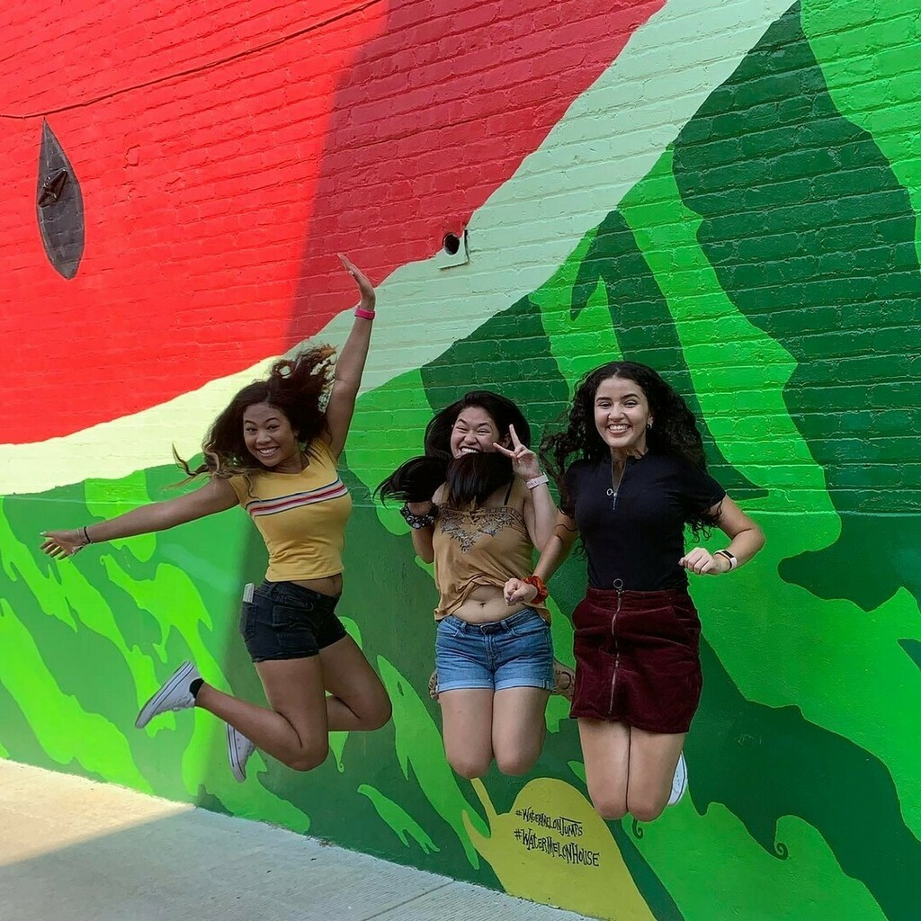 Watermelon House tweet media