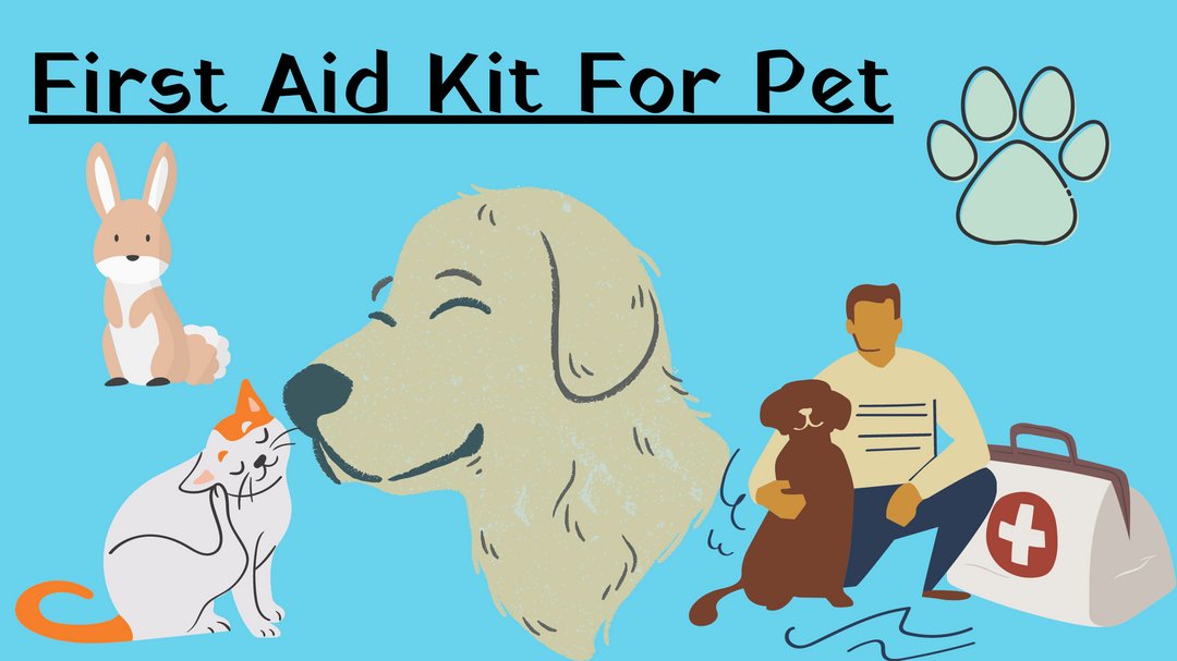 FurendsL's tweet photo. One basic tool in pet keeping is first aid kit so here is the basic guide in our new Blog
https://t.co/7OH3hTXBbZ

#pets #pet  #dog #cats  #animals #cute #petstagram #love #cat #instagram  #puppy #doglover #animal #doglovers #dogoftheday #petlovers #doglife #catlover #puppylove https://t.co/dWVxr9zuDj