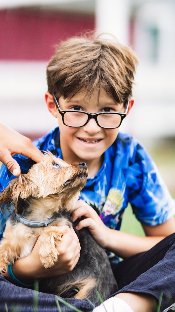 Green Chimneys tweet media