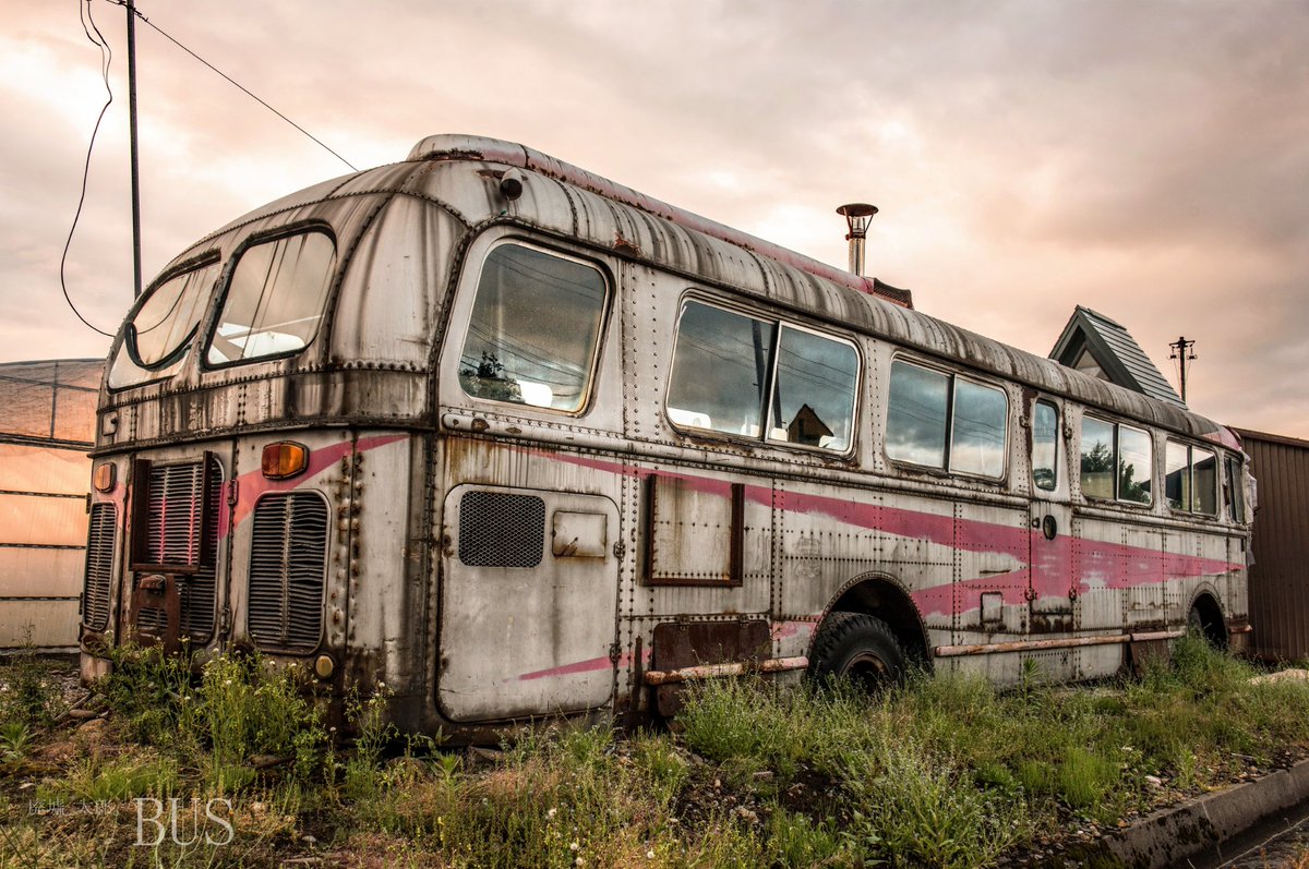 れんこんパパ 484 logopuro アキシャル CNC 4P キャリパー | ハーレー