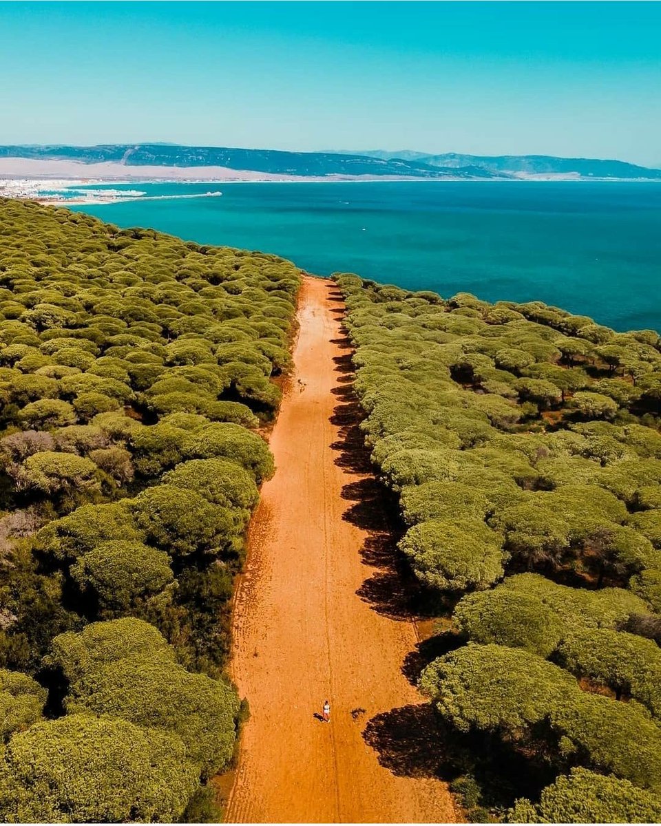 Barbate_Turismo's tweet photo. Desde el entorno de #Barbate a #LosCañosdeMeca y tierra adentro hasta Vejer de la Frontera se extiende con unas 5.077 hectáreas, el Parque Natural de la Breña y Marismas del Barbate 🌳.

¡Feliz viernes!

@Ayto_Barbate @CadizTurismo @TurismoAND @CPinarsanjose

📷 Hola Amigo (Matt) https://t.co/Bst6g7oRqe