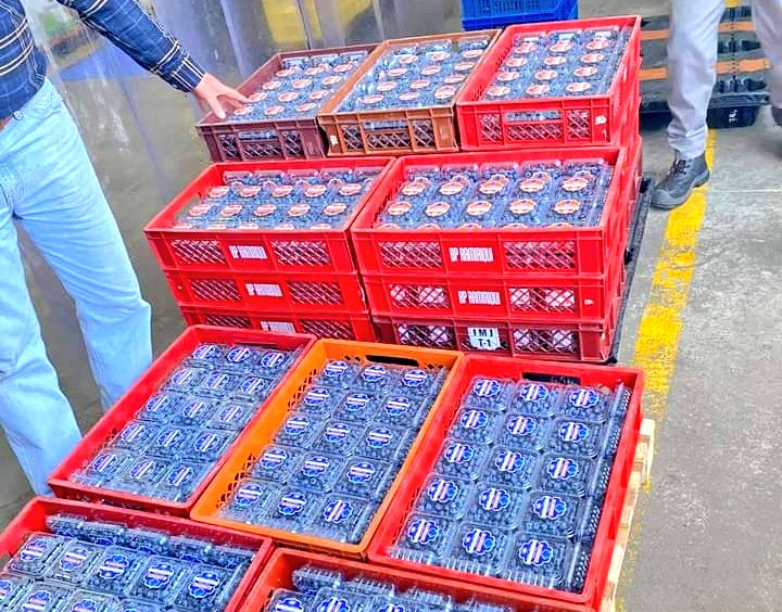 Boyaca95_6FM's tweet photo. ¡Importante! En las últimas horas Boyacá exportó 250 kilos de arándanos para surtir los mercados de los Emiratos Árabes Unidos, estas frutas fueron producidas en diferentes zonas del centro del departamento. 

[Hilo] https://t.co/GqVGJhvQ4J