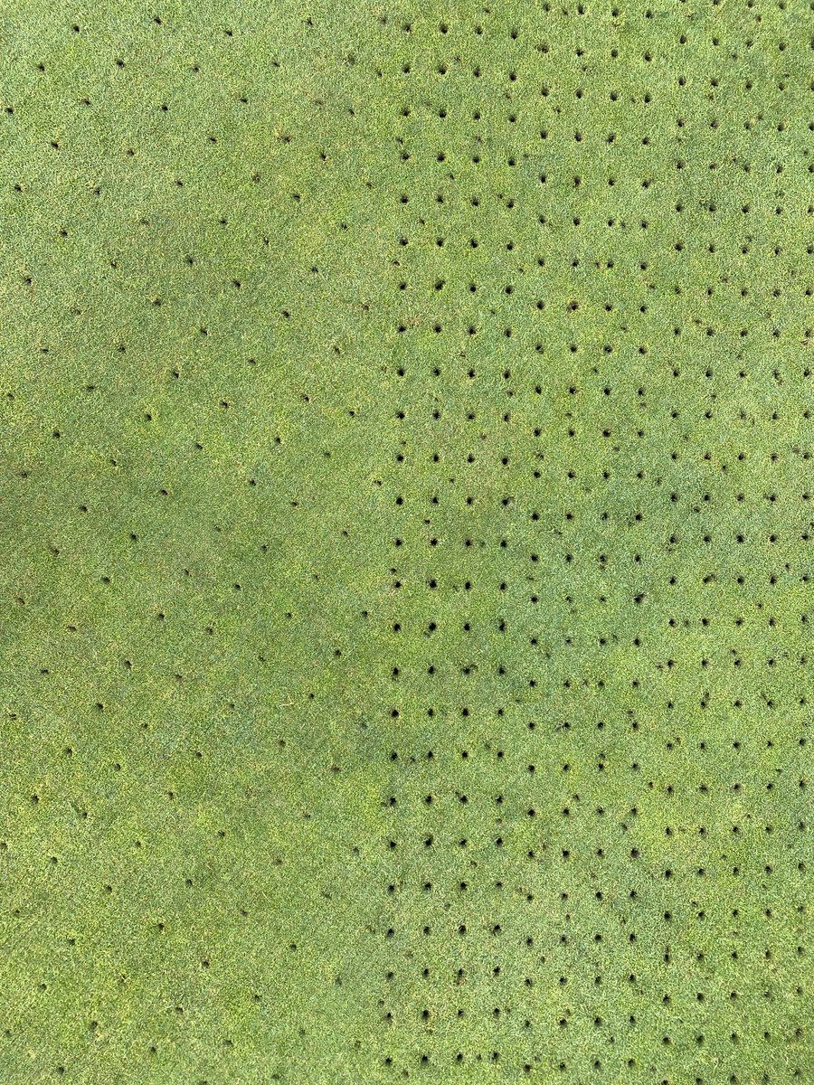 pgccgreens tweet media