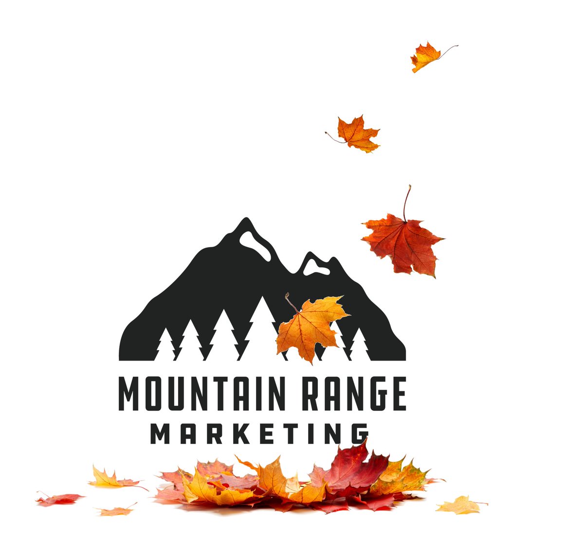 mtn_range_mktg's tweet image. Leaves turn and we look around to realize that so much is different. The end of Summer and beginning of Autumn brings growth and change. We can take your business to new heights! #smallbusiness #marketing #kitchener #waterlooregion #growth #autumn #endofsummer #change #business