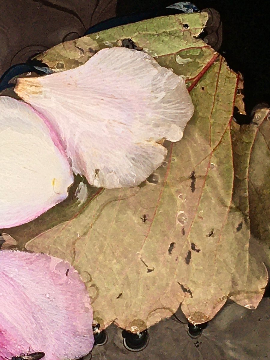 geektweetering's tweet image. #abstact #contemporaryart #thegalleryofart  #abstractart #contemporarypainting