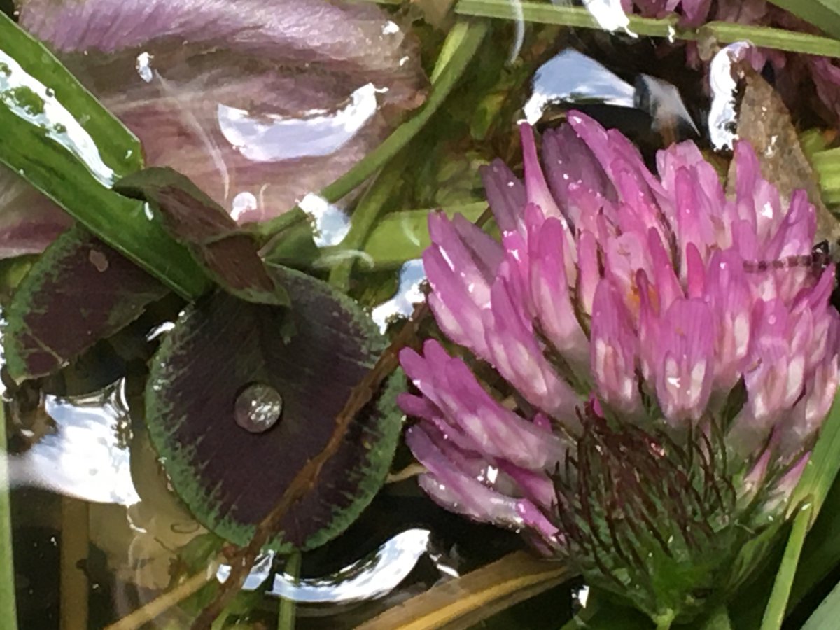 geektweetering's tweet image. See this Instagram photo by @spencerthanson instagram.com/p/CSjH75wMB9N/…