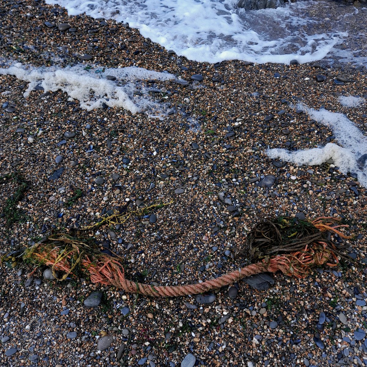 thepointcroyde's tweet photo. I wonder if my kids will look back on  their childhood and remember, with fondness, all the days we spent by the sea, picking up rubbish. . . https://t.co/NwQVRVomzP