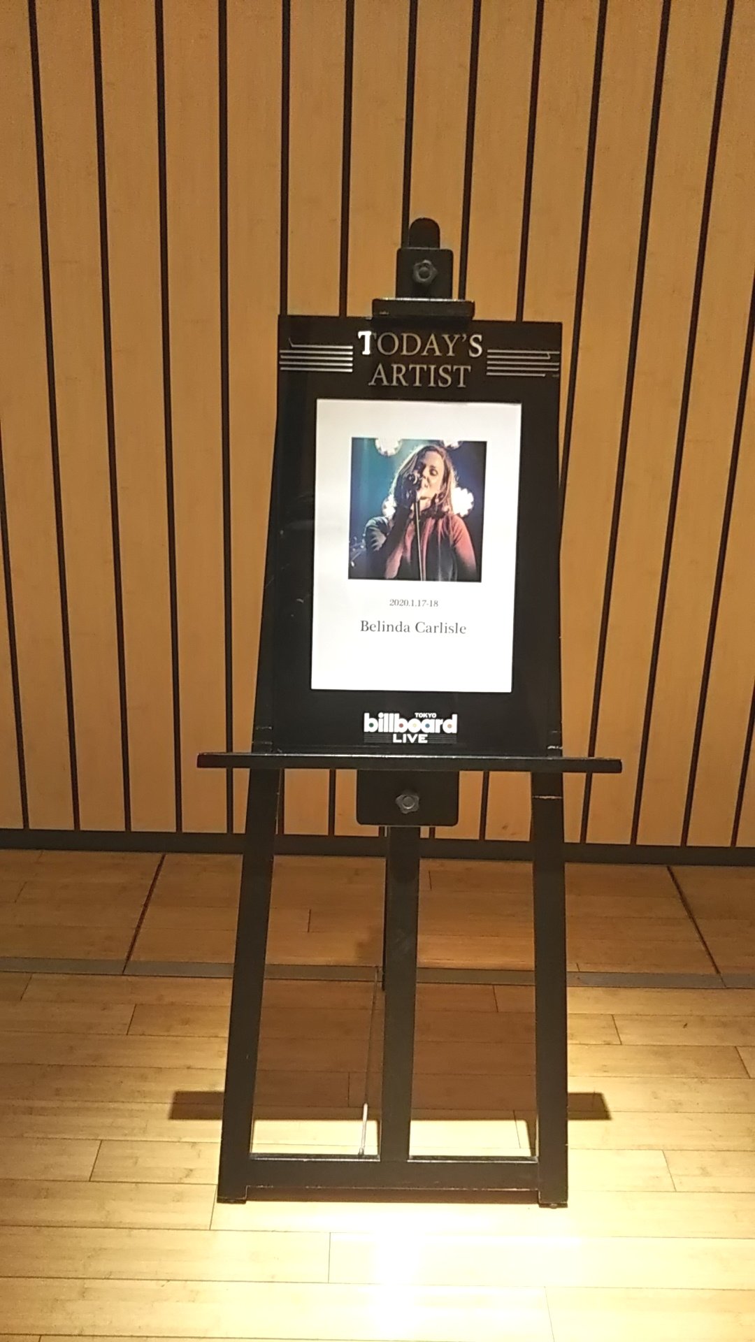 Happy Birthday Belinda!!!               Belinda Carlisle - Fool for Love
 