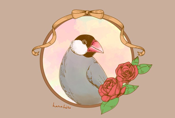 文鳥イラストのtwitterイラスト検索結果 文鳥イラストのtwitterイラスト検索結果