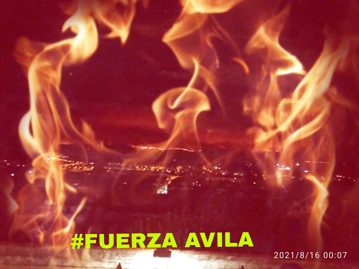 mmontsealvarez's tweet photo. Hagámoslo Viral....Para que esto no vuelva a ocurrir, porque #Avila existe y en cuanto se apaguen las llamas queda mucho por hacer, que no caiga en el olvido de los políticos.
#TodosConAvila
#IFNavalacruz 
#IFElTiemblo
#IFCandeleda https://t.co/9M1iHduJvy
