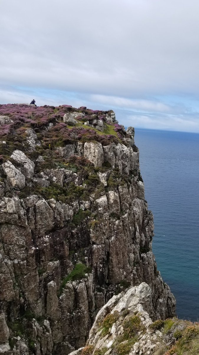 Ourgreatproject's tweet photo. When in Scotland I like to bag bothies! Todays was in a land named Erisco (most motherly tip of Skye) #BothyCollector #WalkWithAPurpose https://t.co/p332tnkKrk