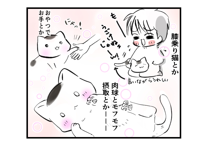 #ねこのまめもち
夏休み中にまめもちと仲良くなりたい猫山くん

猫山くんの夢

#気まぐれ更新猫マンガ 