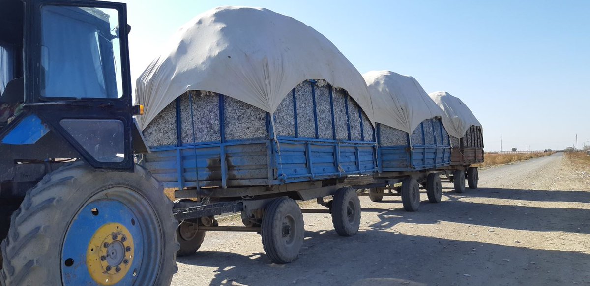 WeAreLDC's tweet photo. #DYK? Farmers are harvesting cotton in Kazakhstan, where #TeamLDC works with them in the field toward more efficient and sustainable agricultural practices. Find out what we do with the cotton at our local facilities: https://t.co/PWeEZcXiib #LDCHarvestWatch https://t.co/28TtaiySS6