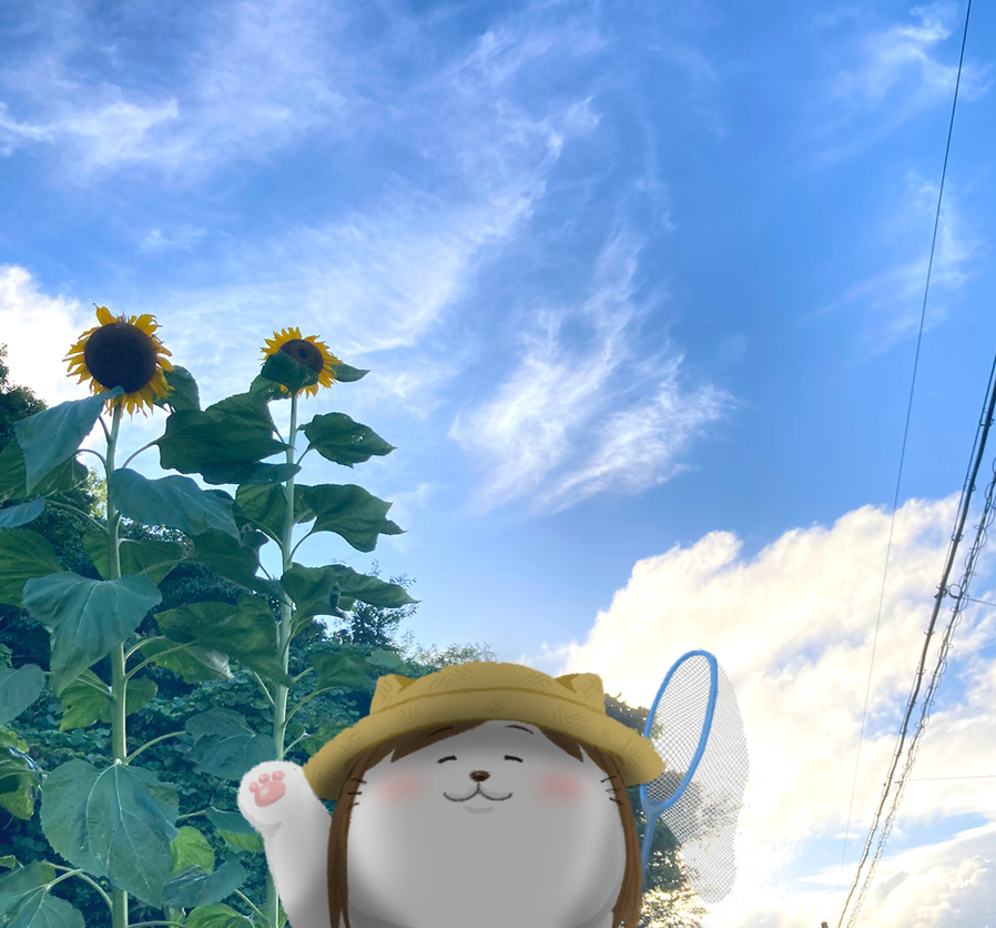 #独学でここまで成長したから皆も猫を愛そう
 2015.06～2021.08 