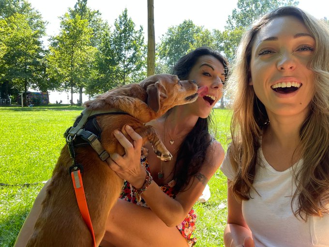 Best #photobombingdog ever 😂 https://t.co/YKuRJXYETf<a href="/tag/photobombingdog"class="tags">#photobombingdog</a>