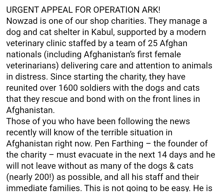 ThatNiceShopCyp's tweet photo. 1/2 UPDATE - URGENT MESSAGE TO ALL OUR SHOP FRIENDS - PLEASE HELP. The Taliban have moved into the compound next to Nowzad during the night. We need help to get this team out of Kabul to safety ASAP. 

https://t.co/Fe6s5I2B0e 
#nowzad #nowzadairlift #OperationArk https://t.co/e4dnfHPyML