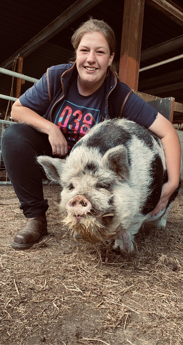 Lauren with her boy Bruce!
🐷🥰
.
.
.
#workingfarm #pigsofinstagram #kunekune #kunekunepigs #crossmanscider #farmhouse #mayfieldfarm #ciderfarm #buylocal #supportsmallbusiness #farmhousecider
