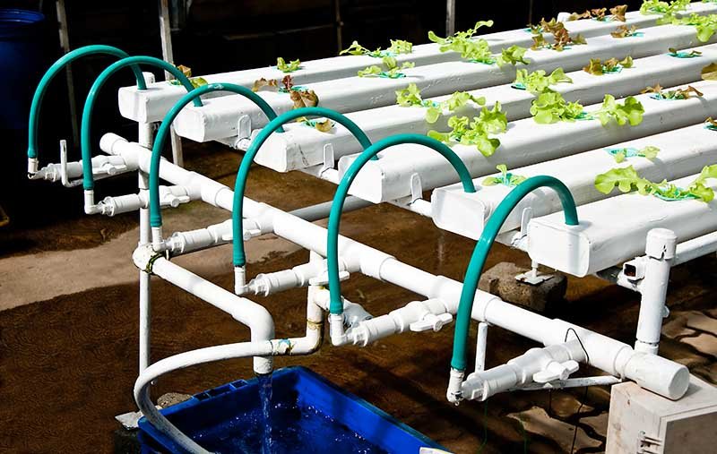 MilafreshP's tweet photo. #Techtuesday
#NFTSystems #hydroponics Because water is recycled and used sparingly, NFT systems consume very little water. It avoids the need for growing media. Or, at least, a lot of it. And because the water is flowing consistently, NFT systems rarely suffer from salt build ups https://t.co/NshySW4SBk