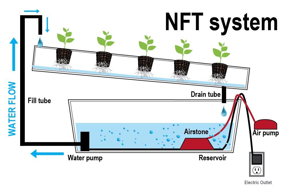 MilafreshP's tweet photo. #Techtuesday
#NFTSystems #hydroponics Because water is recycled and used sparingly, NFT systems consume very little water. It avoids the need for growing media. Or, at least, a lot of it. And because the water is flowing consistently, NFT systems rarely suffer from salt build ups https://t.co/NshySW4SBk