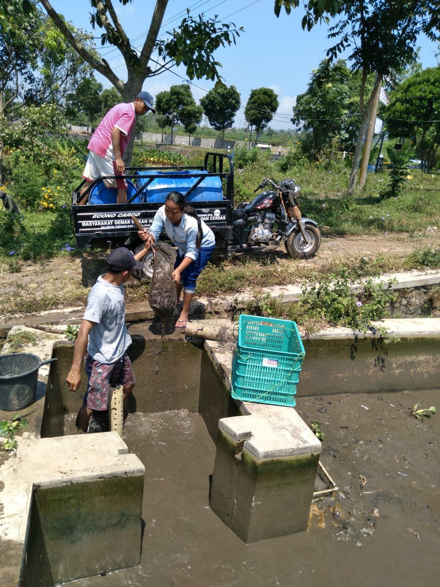 Temanggung Fisheries Extension tweet media