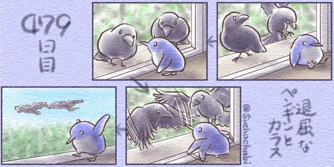 479日目 退屈なペンギンとカラス 