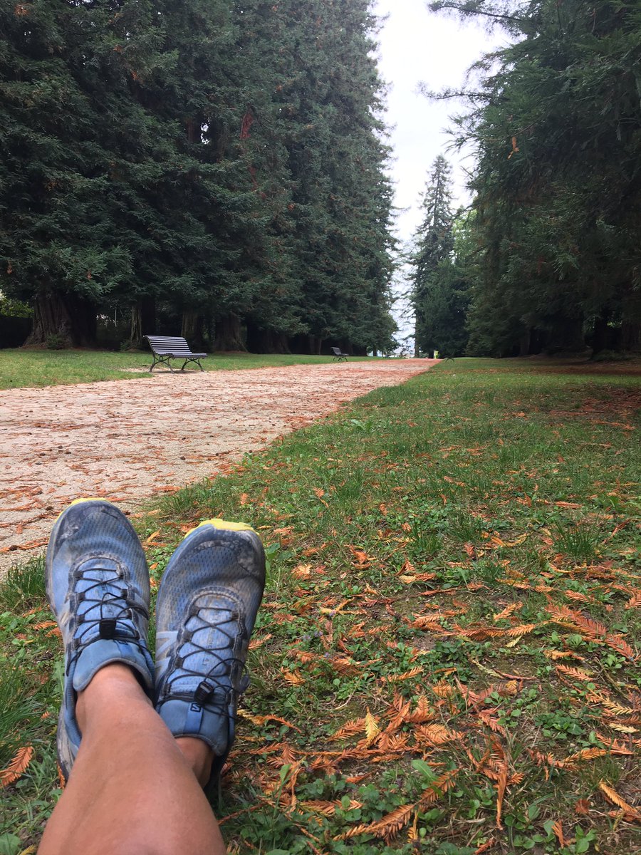 AlfonsoGarciaTT's tweet photo. Hoy hemos salido a entrenar en Pau.
#trail #trailrunning #running #pau #pyrenees #paupyrenees #france #francia #pirineo https://t.co/v0B9CQatei