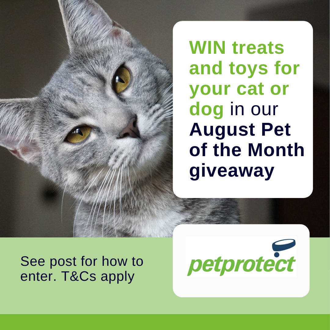 petprotect's tweet photo. Enter our #August Pet of the Month #giveaway on #Facebook by sharing a photo of your #cat or #dog
#prizes #win #dogofthemonth #catofthemonth #TuesdayVibe #competition #petswinprizes #pawfriends #catlovers #doglovers #ThursdayMorning #PetCompetition #winners #tuesday #winner https://t.co/orme6ezFjI