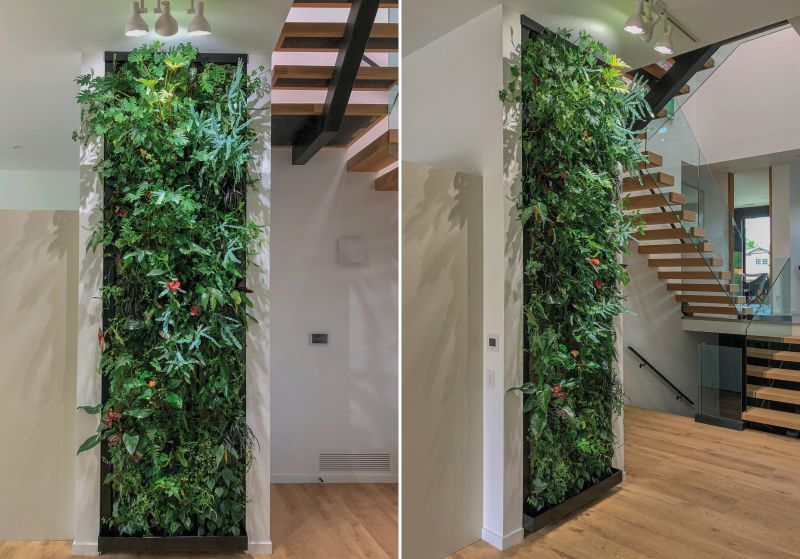 Plenty of light is an essential ingredient for a thriving SemperGreenwall, just like for other plants! In this modern Toronto residence, the indoor lighting keeps the plants happy and creates beautiful designs on the surrounding walls. Project: Ginkgo Sustainability Inc
