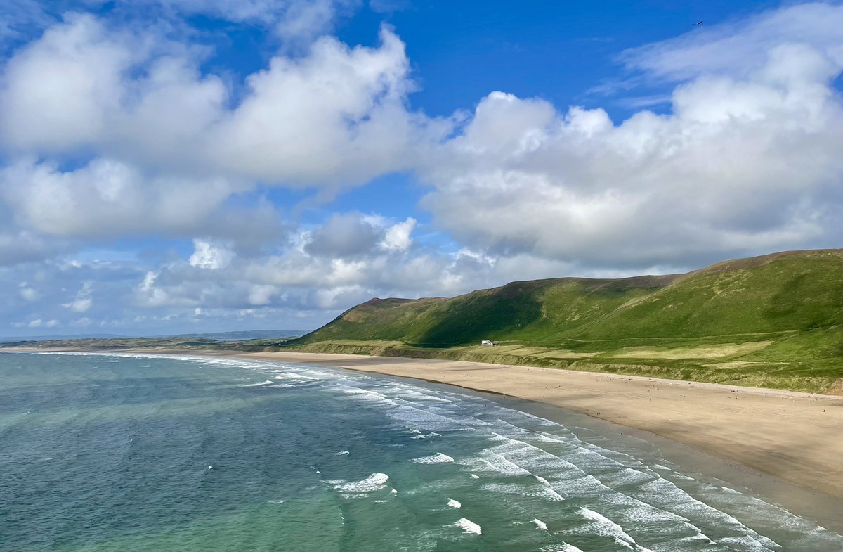 Kate_Rees's tweet image. What a beautiful sight😍🌻