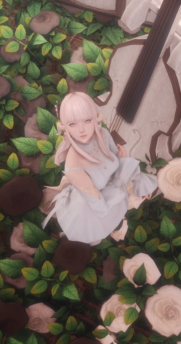 RinkaRii_FF14's tweet photo. I like short hair but this suits her ｡ﾟ(ﾟ´Д｀ﾟ)ﾟ｡
#FFXIV #GPOSERS #NenekoColorS #FF14SS #本日のアウラ #XIV_PICTCLIP #Soup_Studio https://t.co/dRGxE2JRXV