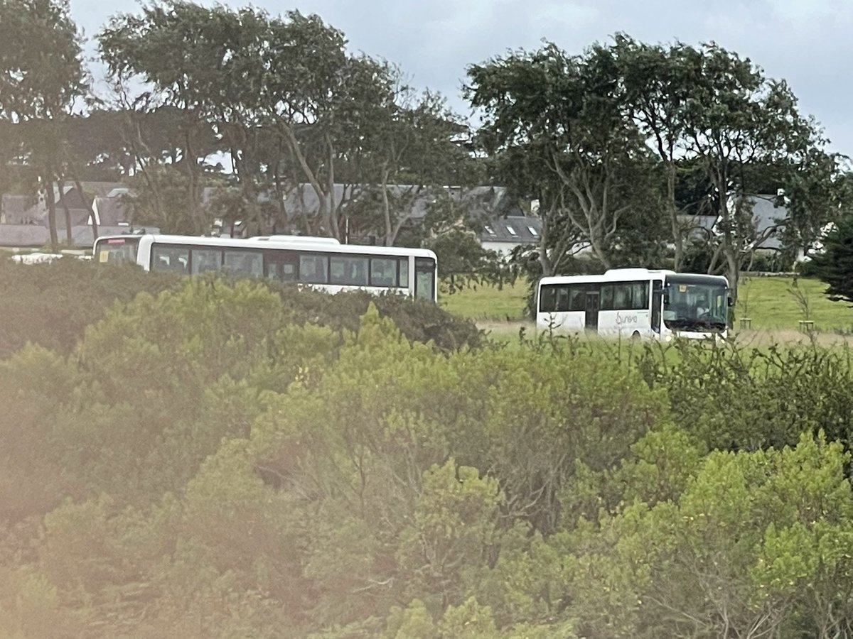 PonsPatrick's tweet photo. Carnac quand au réveil tu découvre ta nouvelle vue et ses stationnement sauvage #mairie de carnac #lepick #envie de vendre https://t.co/lW8GqYF3xm