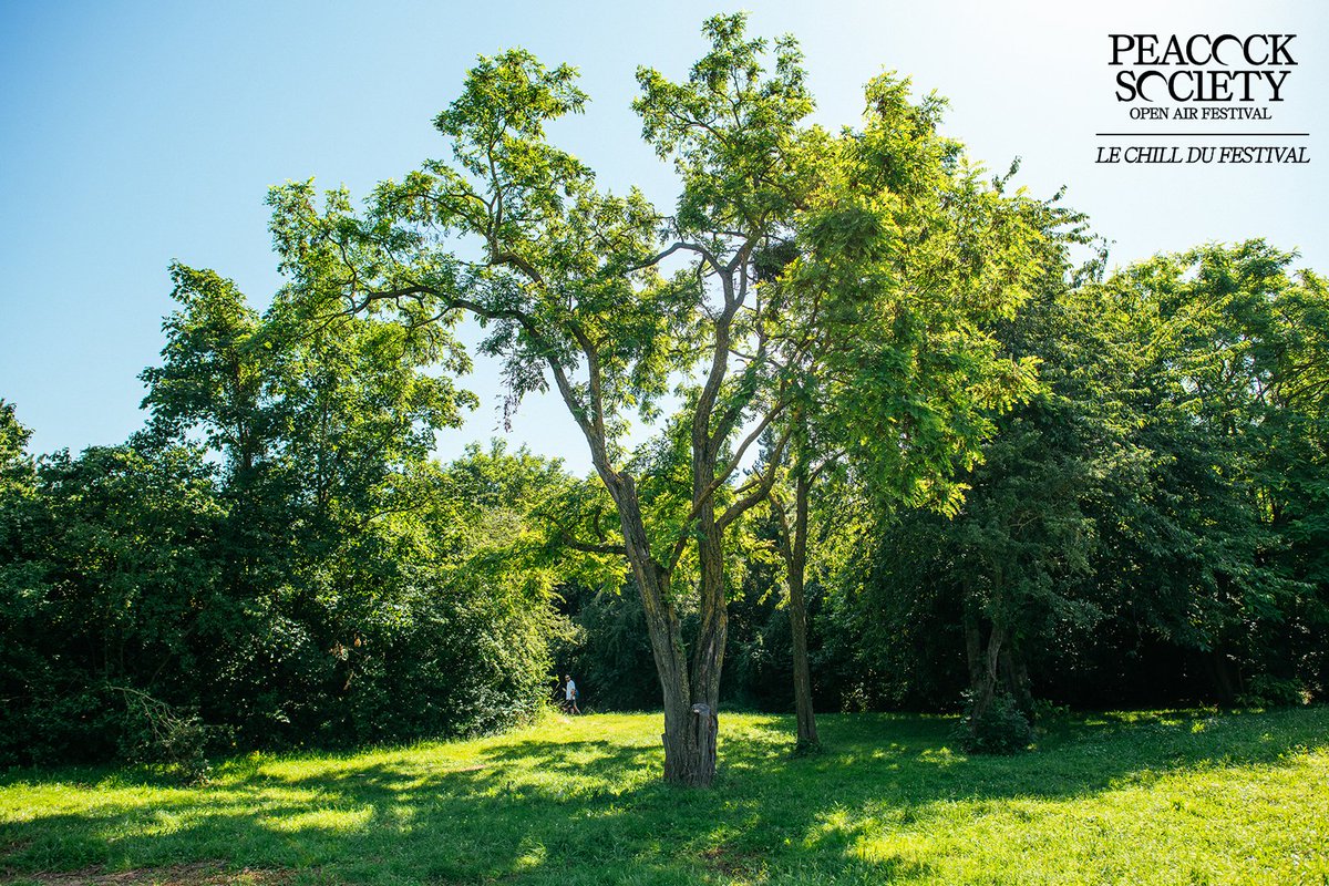 Welcome to the Peacock Park ☀️ Rendez-vous les 4 &amp; 5 Septembre prochain au Parc de Choisy Paris – Val-de-Marne 🖤 Accès au site au pied de la sortie du RER D. A 10 min de Gare de Lyon et 20min de Gare du Nord en RER 🚇

📸 : <a href="/Maxime_Chermat/">Maxime Chermat</a>