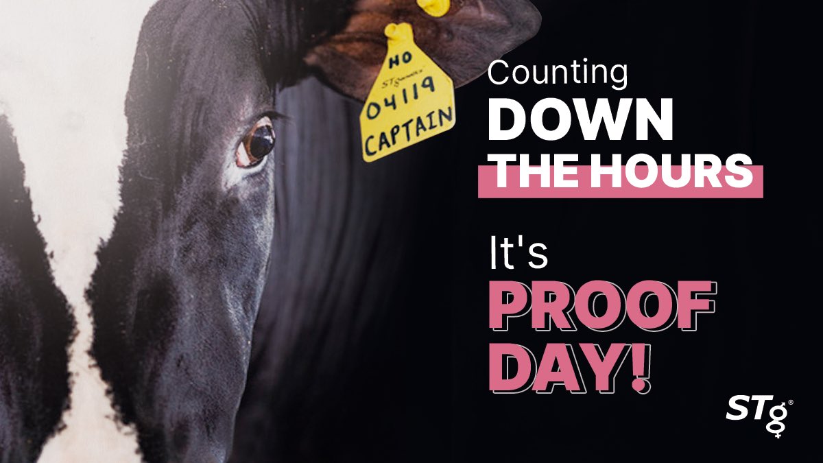 STgenetics's tweet photo. It's Proof Day! Stay tuned to get all the latest updates from STgenetics!
STgenetics: the best way to predict the future is to create it!
#STgenetics #ProofNews #ProofDay #AugustProofs2021 #Countdown https://t.co/bz5u0Oxhoh